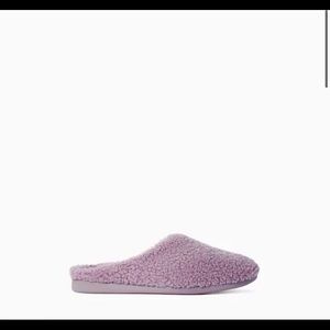 ReNew Teddy Slipper- Everlane